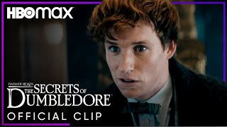 Newt Scamander Confuses Grindelwald Fantastic Beasts The Secrets Of Dumbledore Hbo Max