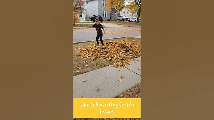 kid's videos