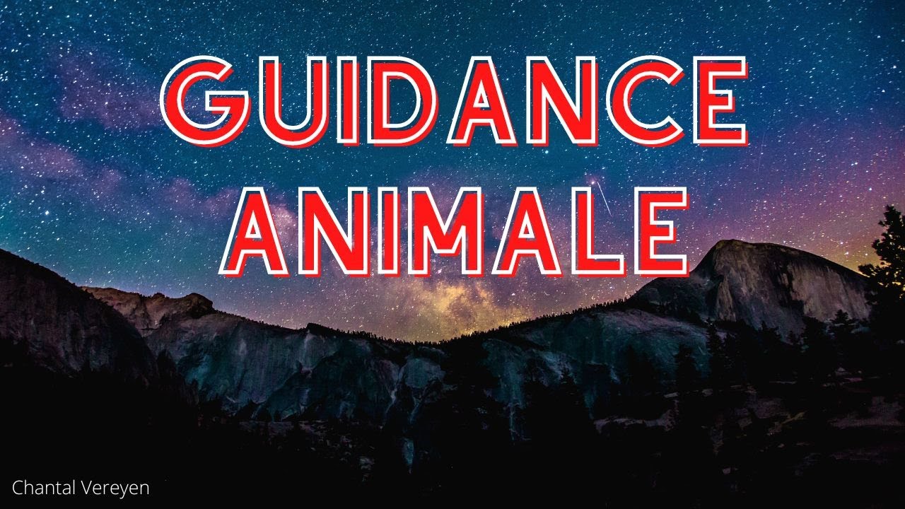 guidance-animale-de-septembre-youtube