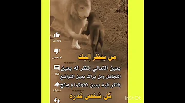 التواضع من صفات الكرام 