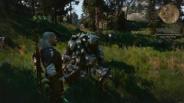 The Witcher 3: Wild Hunt. Earth Elemental.