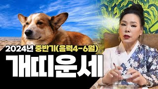 2024년 갑진년 중반기(음력4-6월) 개띠 운세 | 94년생 82년생 70년생 58년생