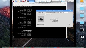 Raspberry pi Image Classifier GUI with intel® Movidius™ Neural Compute Stick