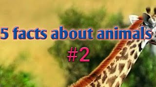 5 Facts About Animals Part Daily Info