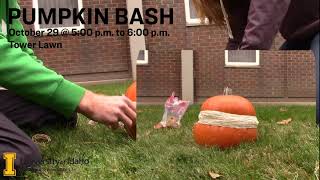 Pumpkin Bash 2019