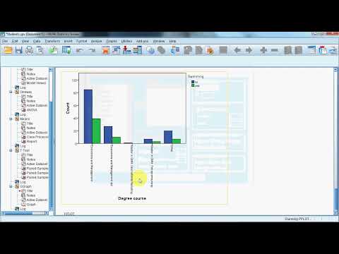 Data Analysis with SPSS exam 23
