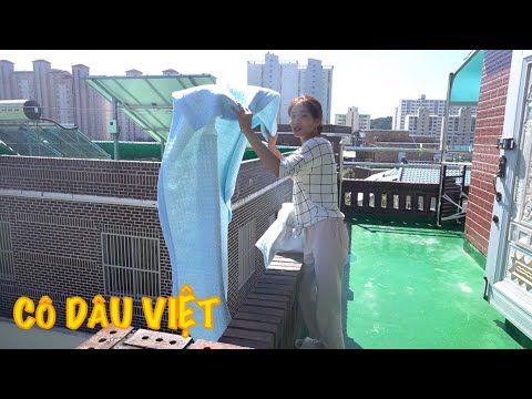 Video |TẬP 600| MỘT NGÀY CỦA CÔ DÂU VIỆT Ở HÀN QUỐC NHƯ THẾ... - YouTube