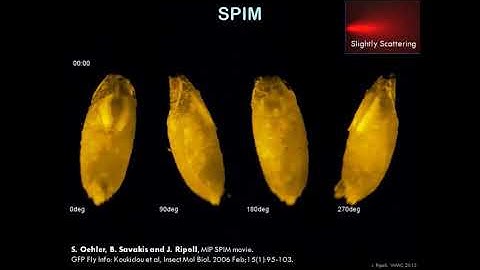 Advanced Microscopy Technologies