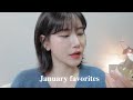(sub) 12월부터 1월까지 쭉 잘 쓴 페이보릿 뽐니템