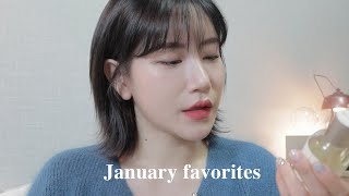 (sub) 12월부터 1월까지 쭉 잘 쓴 페이보릿 뽐니템