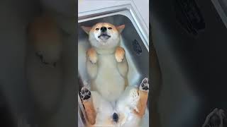 You know it's hot out when you see this 😂