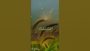 #قرآن #قران_كريم #تلاوة_خاشعة #راحة_نفسية #اكسبلور #المصحف #هدوء #تلاوة_هادئة