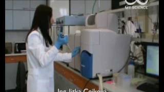 My Science In Prague, Czech Republic