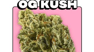 Grow Weed Easy, OG Kush Update Day28