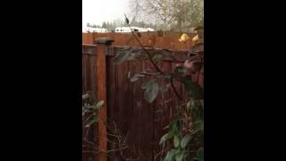Crazy weather day in Bonney Lake Washington