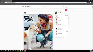 How to use multiple Instagram accounts on same browser using Session Switcher