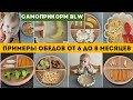 ЧЕМ НАКОРМИТЬ РЕБЕНКА от 6 до 8 месяцев САМОПРИКОРМ БЛВ ПРИМЕРЫ ОБЕДОВ ДЛЯ МАЛЫША ЧЕМ НАКОРМИТЬ РЕБЕНКА от 6 до 8 месяцев САМОПРИКОРМ БЛВ ПРИМЕРЫ ОБЕДОВ ДЛЯ МАЛЫША