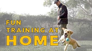 Training Your DOG at HOME in Your Backyard