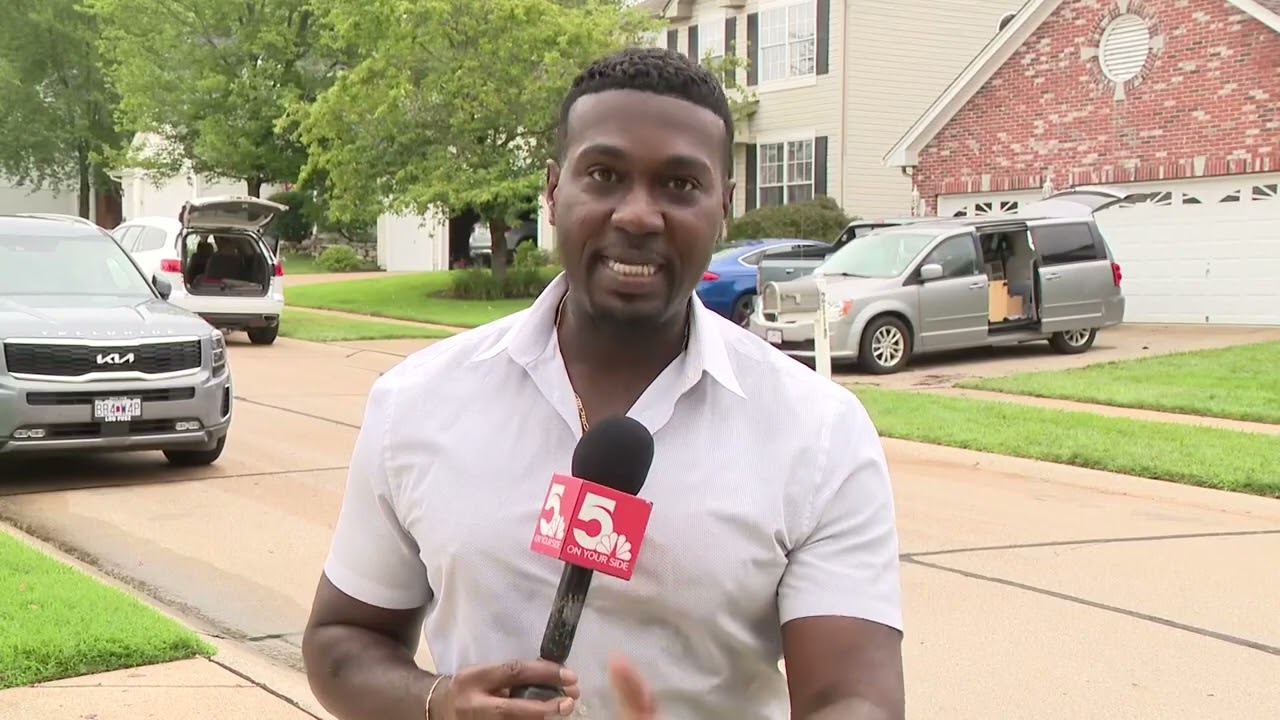 Lightning causes Fenton home to go up in flames