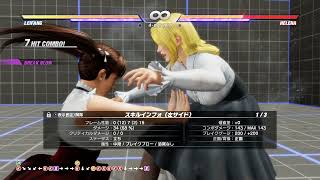 【DOA6】Fuzzy Guarding in Leifang  - Guide & Tips