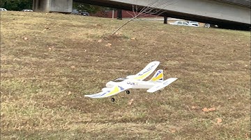 Horizon Hobby Duet Flight