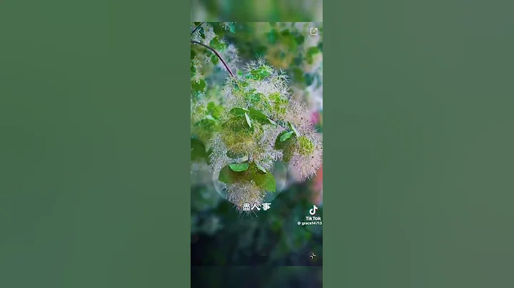 順其自然 靜待花開 - 天天要聞