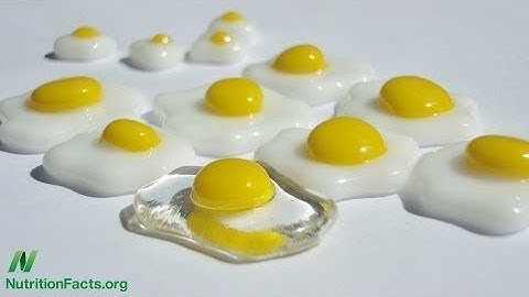 Cholesterol Feeds Breast Cancer Cells