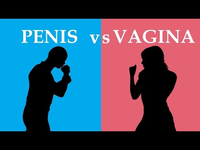 SEXY WOMAN PORN VIDEOS All Dat Ass Orgy