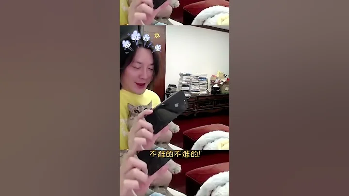 拜託!一隻貓會打王者榮耀超酷的好嘛! - 天天要聞