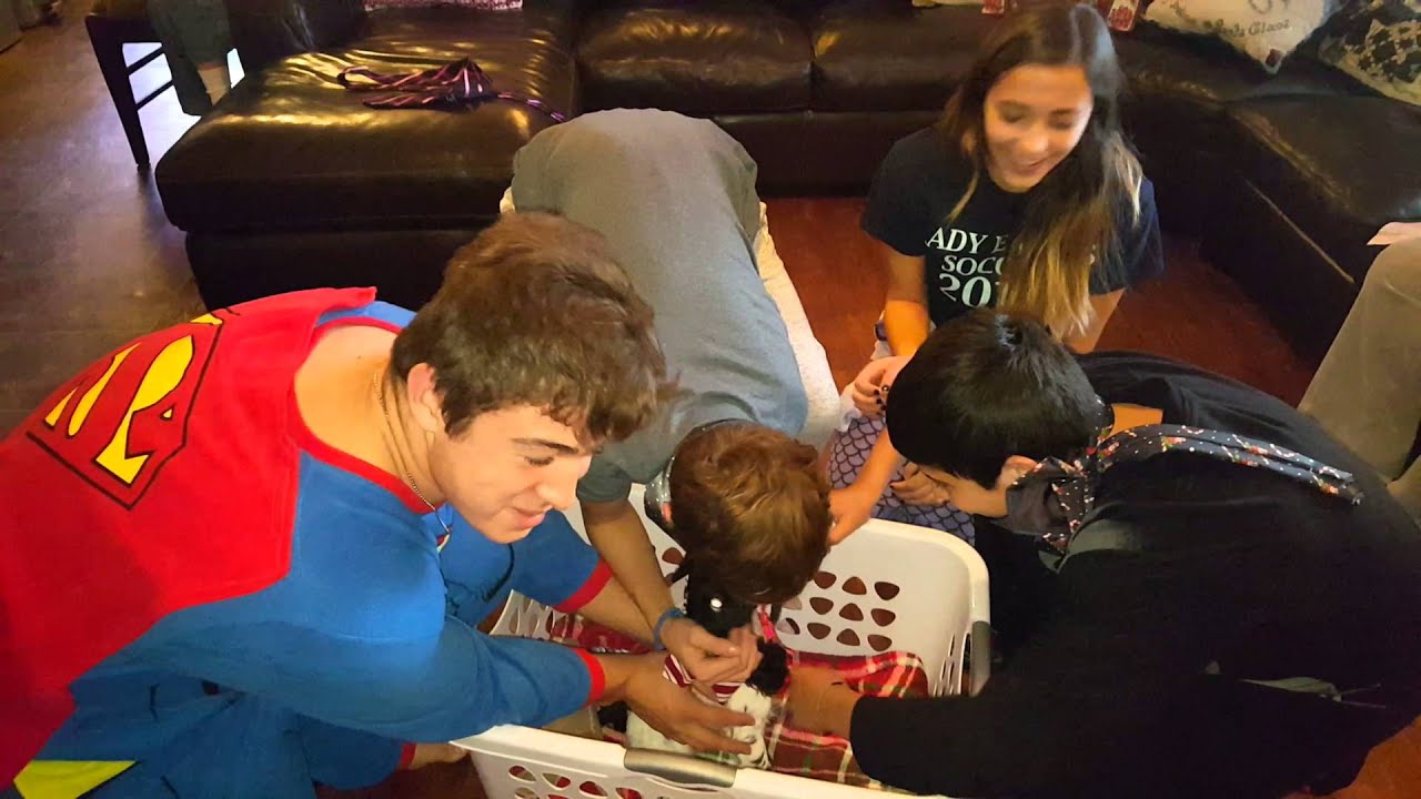 Parents surprise kids with Christmas puppy!