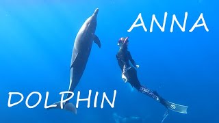 ANNA&amp;amp;DOLPHIN#2