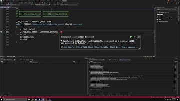 Most Common Crashes and Memory Leaks with C++ Vectors