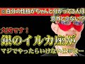 【ゲッターズ飯田2024】※銀のイルカ座がまじでやったらいけない仕事は●●です！大凶なのでいますぐやめてください！自分の性格がわかってる人は意外と少ない！？繊細な人が実はガサツだったりします