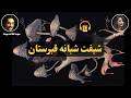 کتاب صوتی شیفت شبانه قبرستان اثر ام ال ریو 
