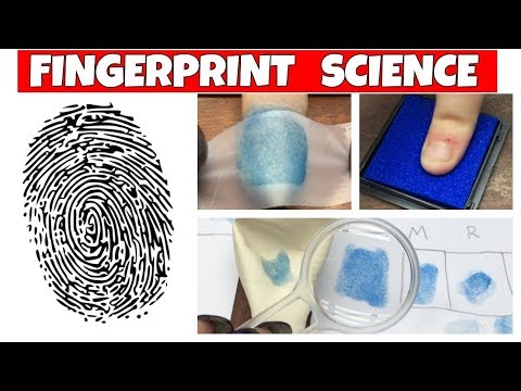 Fingerprinting for Kids | Forensic Science Activity | Secular Science Curriculum Homeschool
