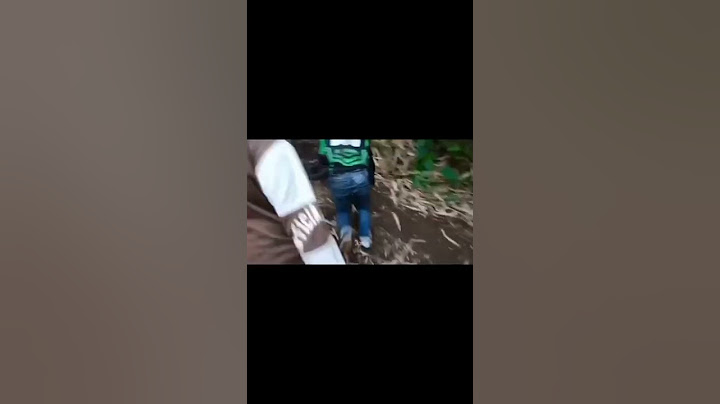 Viral !!! Kepala Terbentur Bambu Sangat Keras