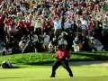 Tiger woods  comeback  career highlights 2014