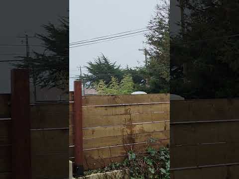 Weather In Crescent City Ca 10 Days