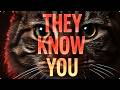 What If Cats Know Who You REALLY Are… And Science Can’t Explain It.