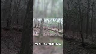 What's Around the Bend? Hearing Strange Sounds!