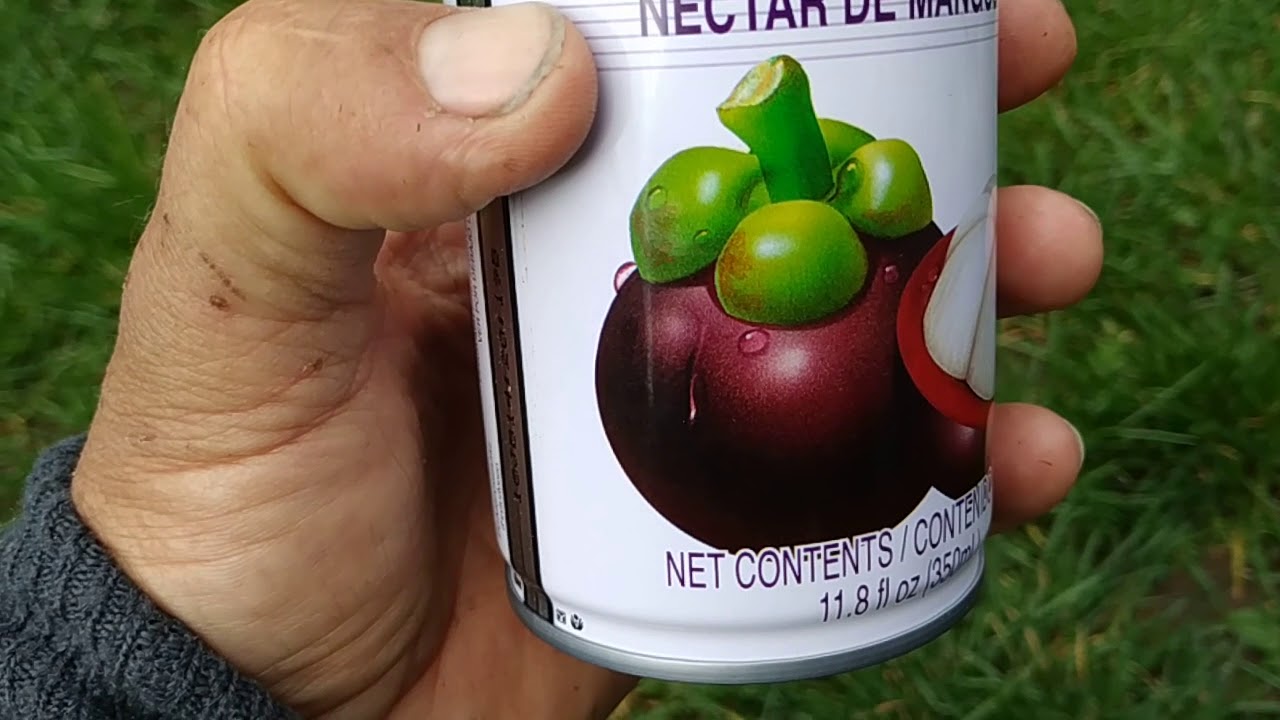 Mangosteen nectar (Garcinia mangostana) tastes like peach drink YouTube