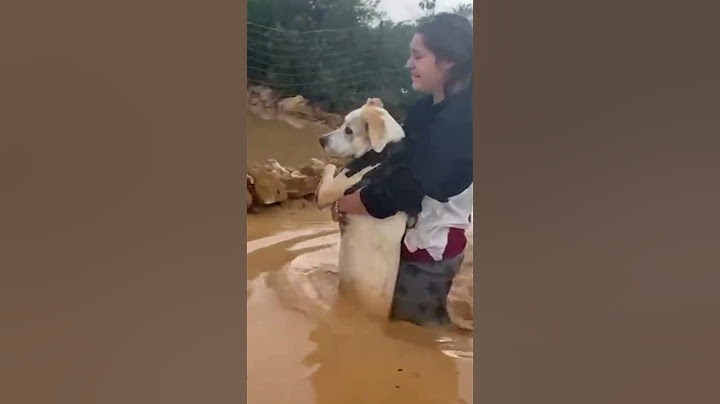 Evacuación de ciudadanos en Castellón