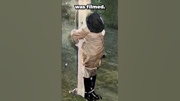 Executed for War Crimes #history #historyshorts #worldwar2 #historyfacts