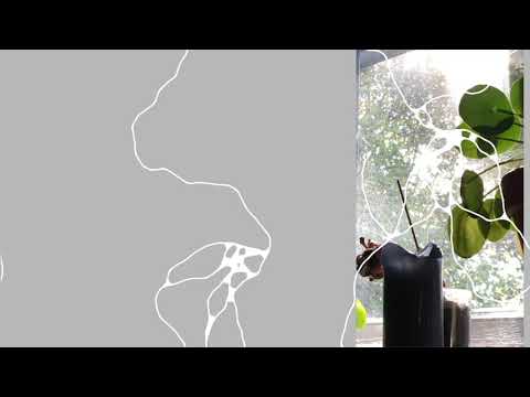 Barsmark - hvidt lyser stien (The Ambient Zone)