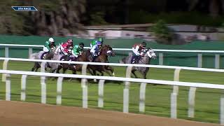Vidéo de la course PMU RACE 5