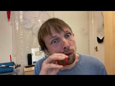 Eating world’s hottest jalapeño pepper