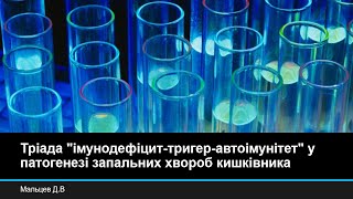 Мальцев Д.В. Тріада &quot;імунодефіцит-тригер-автоімунітет&quot; у патогенезі запальних хвороб кишківника