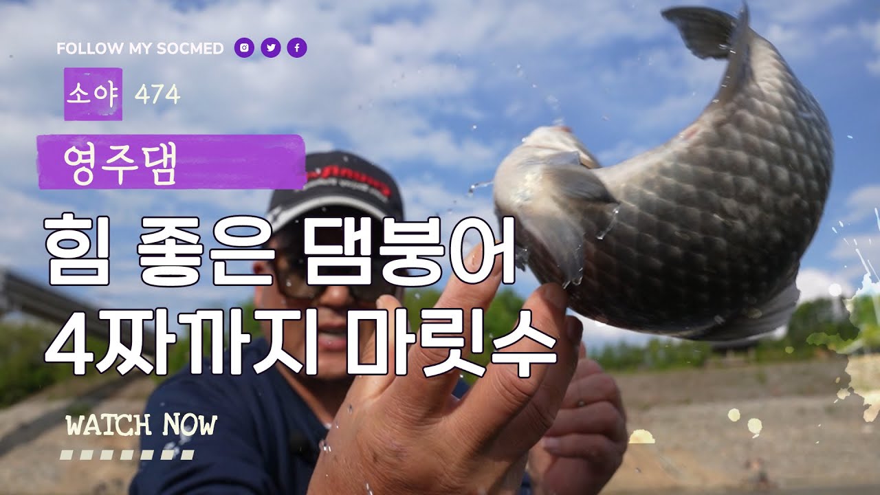 힘 좋은 댐붕어 4짜까지 마릿수