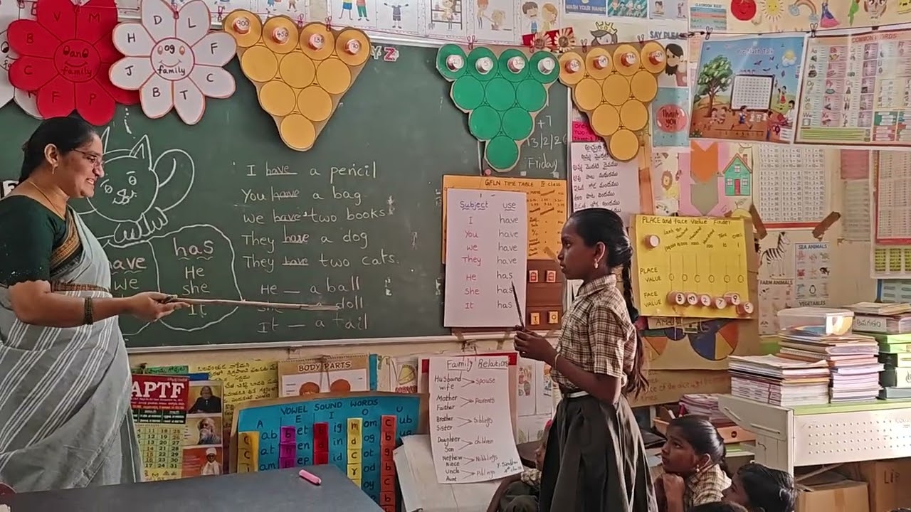 ## Have, Has activity 