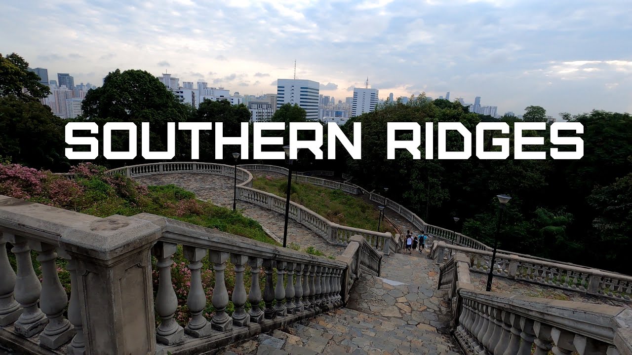 Treadmill Virtual Run [4K] - Southern Ridges (Singapore) - YouTube